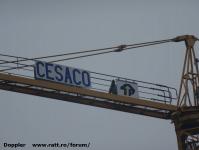 Imagine atasata: Vivalia - Bulbuca - 2015.11.08 - 02.jpg